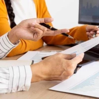 Tax Investigation Support 1